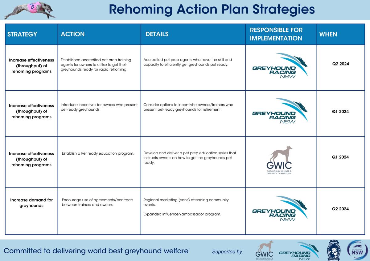 Rehoming Plan Action Strategies page 2