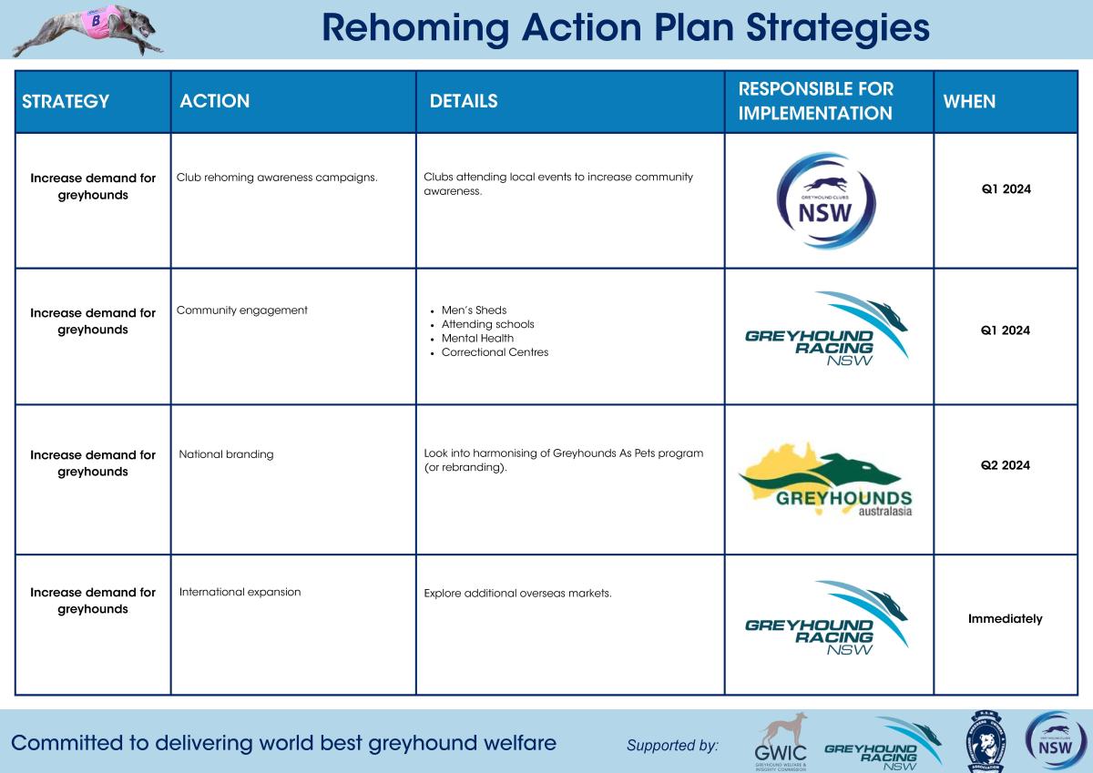 Rehoming Plan Action Strategies page 2