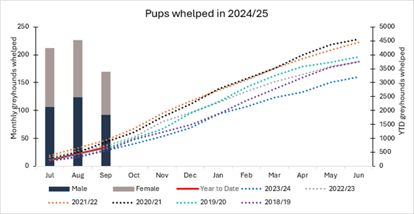 Whelping Graph September 2024