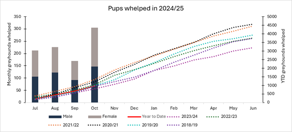 Whelping Graph October 2024