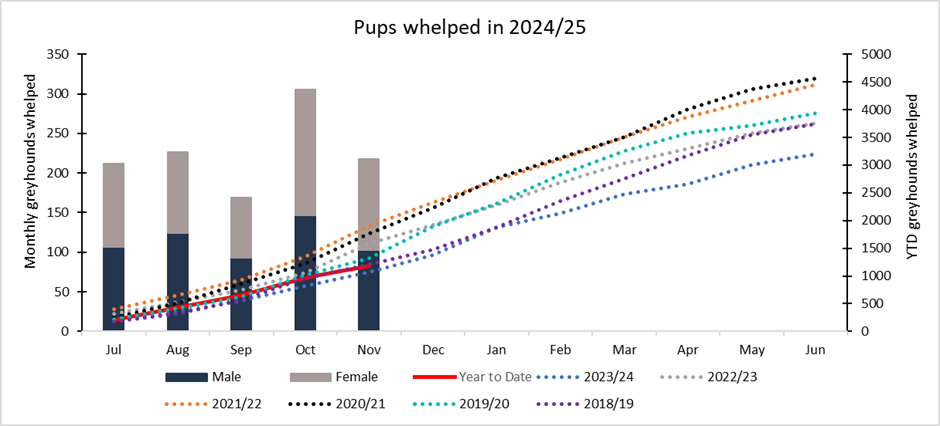 Whelping Graph November 2024