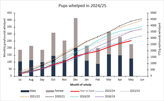 Whelping Graph May 2025